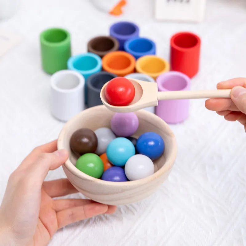 Montessori Wooden Ball Color Matching Game