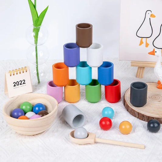 Montessori Wooden Ball Color Matching Game