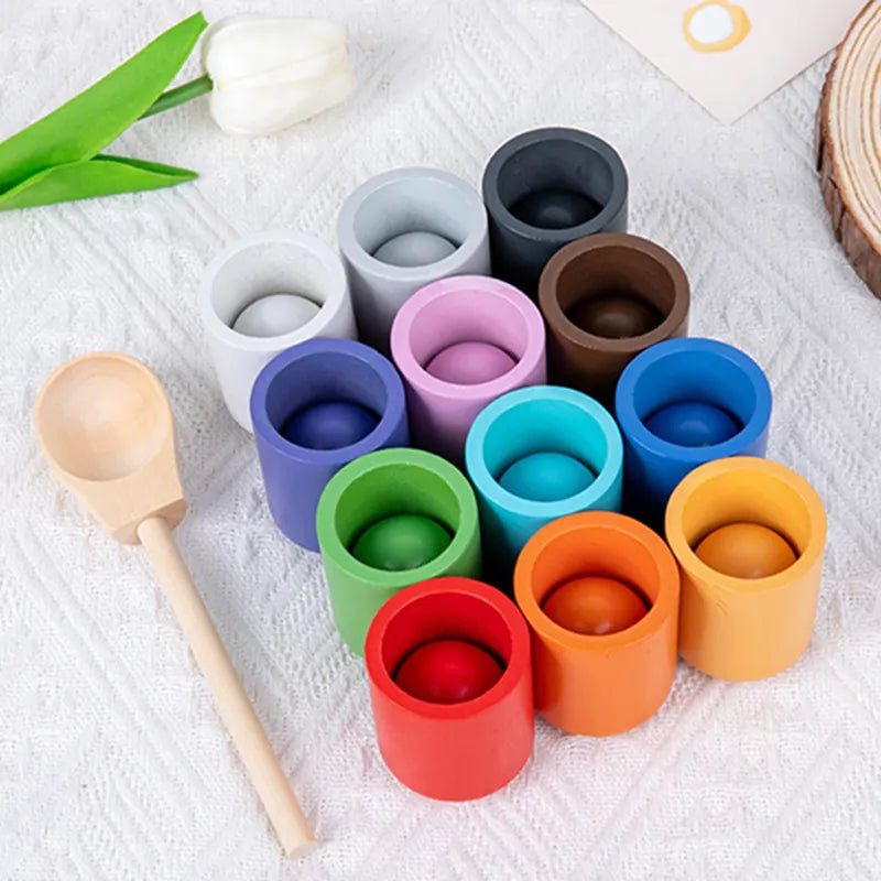 Montessori Wooden Ball Color Matching Game