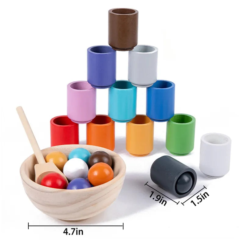 Montessori Wooden Ball Color Matching Game